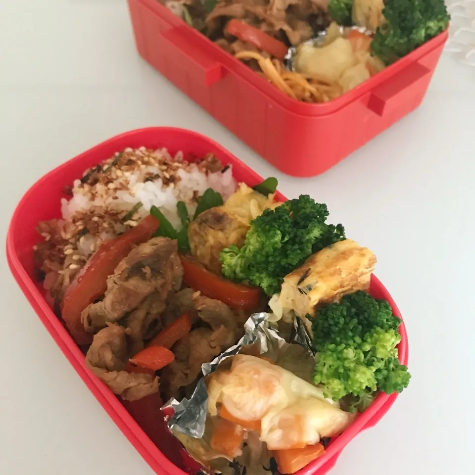 11.6今日のお弁当|makipさん