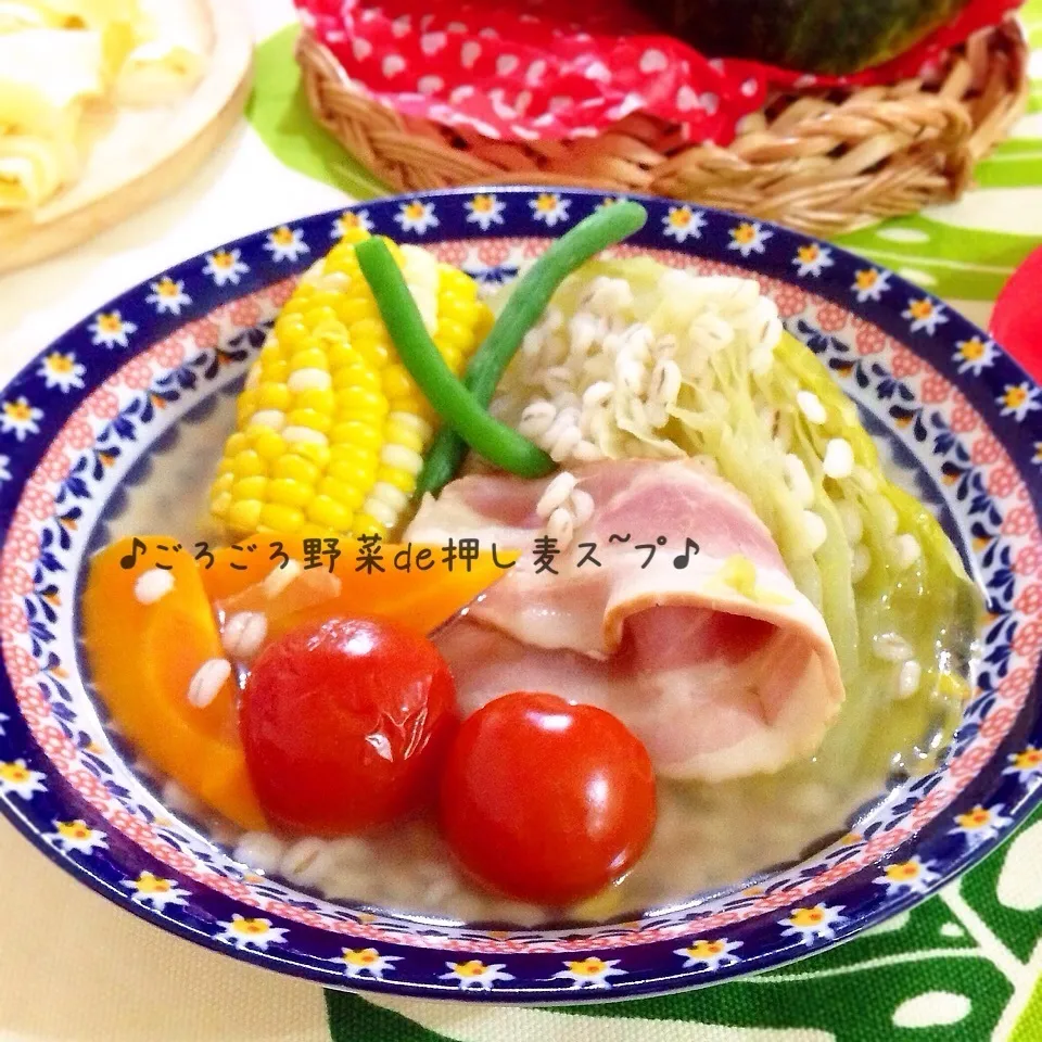 ♡野菜を味わう!! からだ想いの優しいス〜プ♡|ぷらっとさん