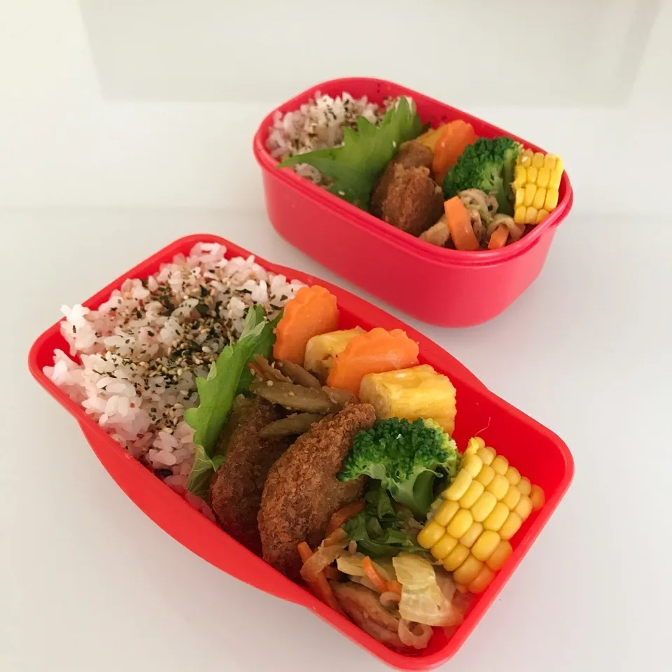 9.25 今日のお弁当|makipさん