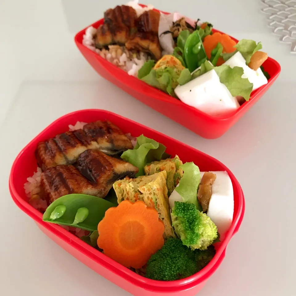 6.19今日のお弁当|makipさん