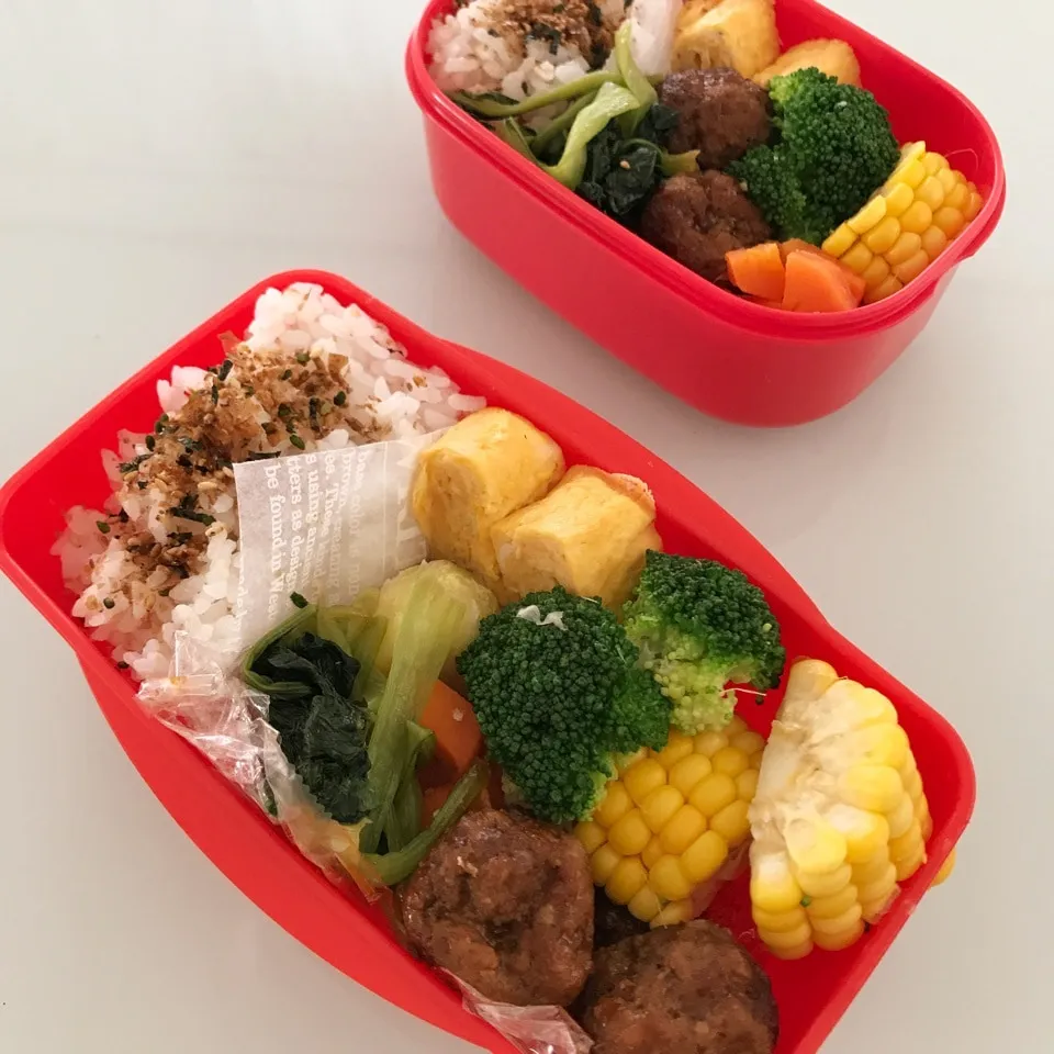 5.29今日のお弁当|makipさん