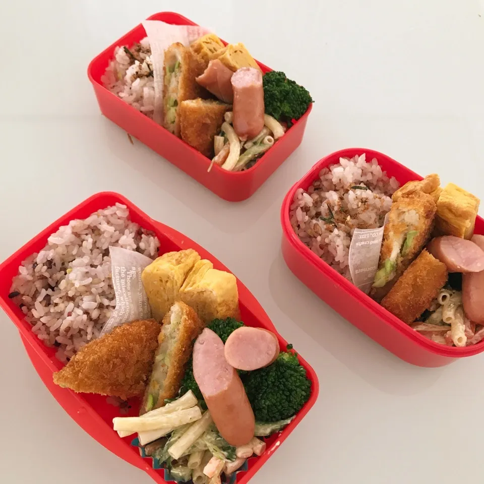 5.19 今日のお弁当|makipさん