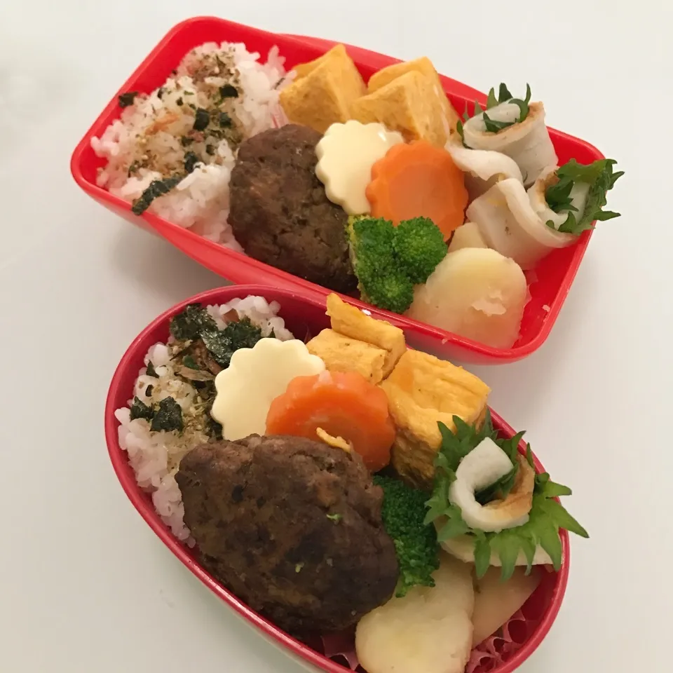 4/10今日のお弁当|makipさん