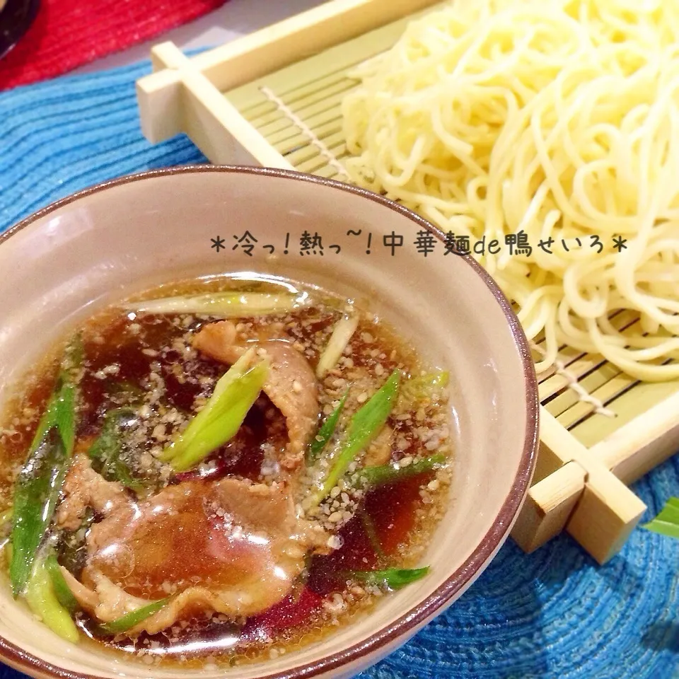 Snapdishの料理写真:(๑◕ˇڡˇ◕๑) 熱々の鴨汁に 冷たい中華麺が超旨い‼️|ぷらっとさん