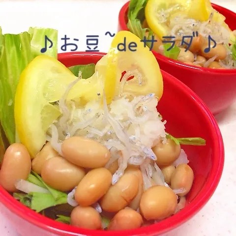 (*^◯^*)塩レモンdeさっぱり大豆のジャコおろし〜＊|ぷらっとさん