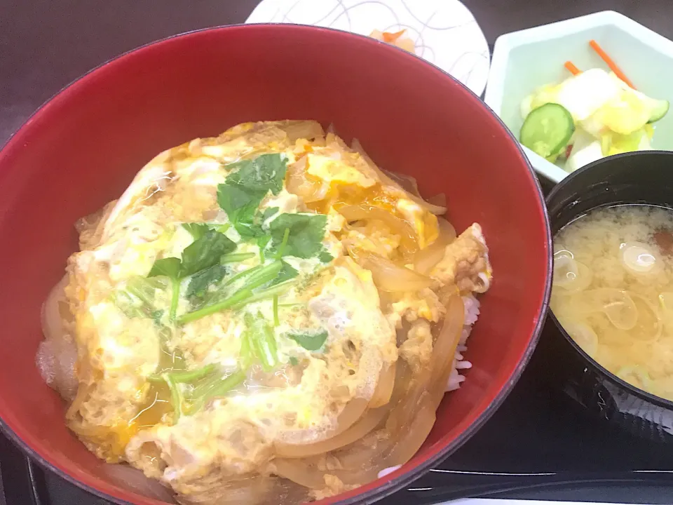 比内地鶏の親子丼#親子丼#秋田 #秋田名物|901さん