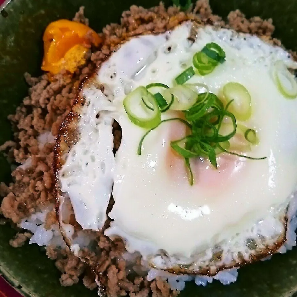 肉そぼろ丼|さらだきの子さん