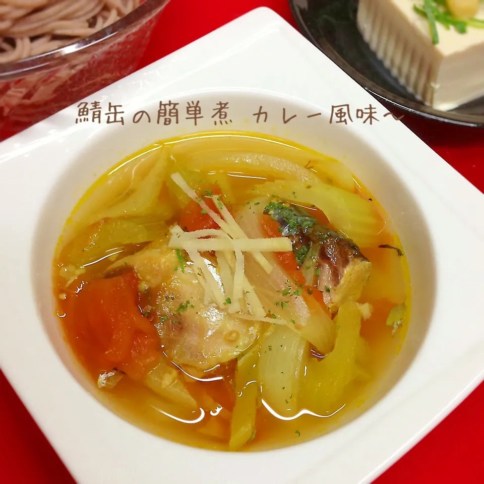 ルナトトママちゃんの鯖缶の簡単煮✿カレー風味〜で。|★えっちゃん★さん