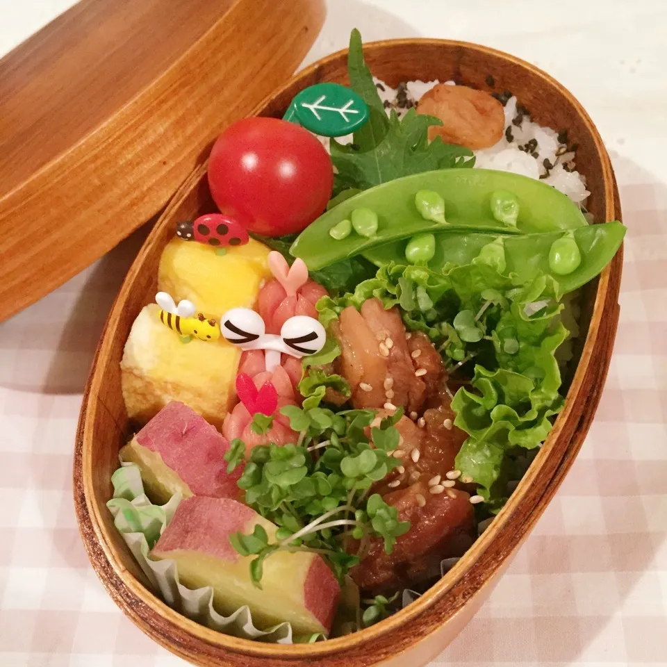 5/9のお弁当(((o(*ﾟ▽ﾟ*)o)))|Chiaki Hasegawaさん