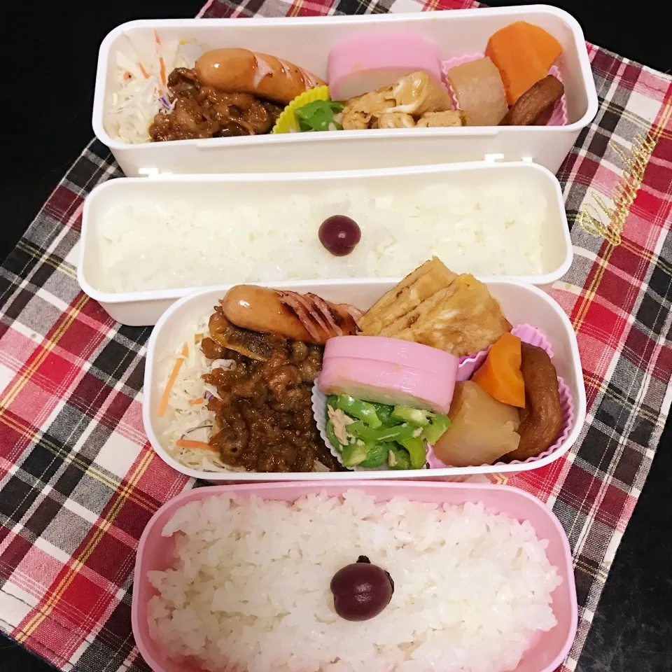 娘&息子お弁当|みかんさん