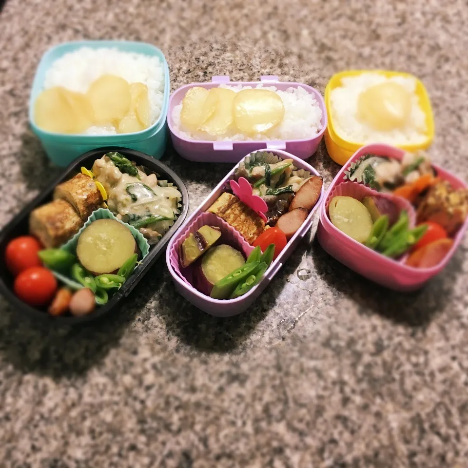 鶏肉とほうれん草クリーム煮弁当|yukさん