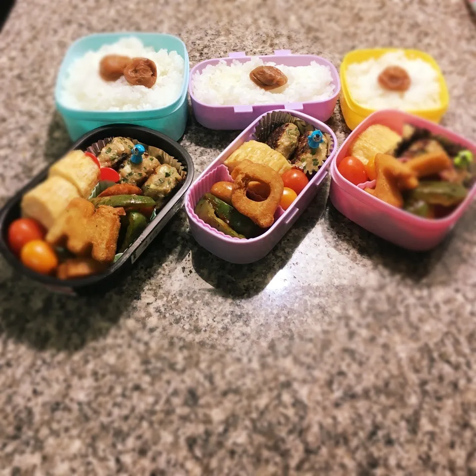 餃子の中身バーグ弁当|yukさん