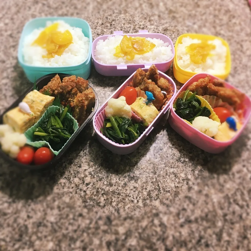 豚カツ弁当|yukさん