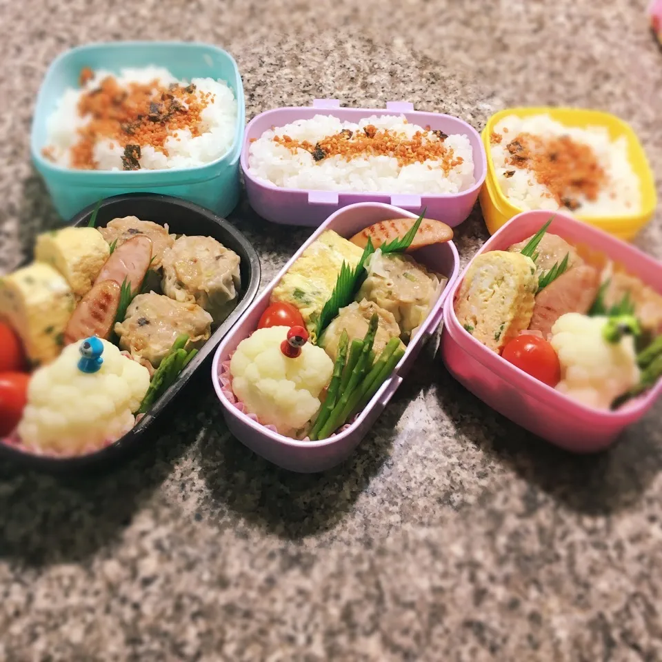 Snapdishの料理写真:焼売弁当|yukさん