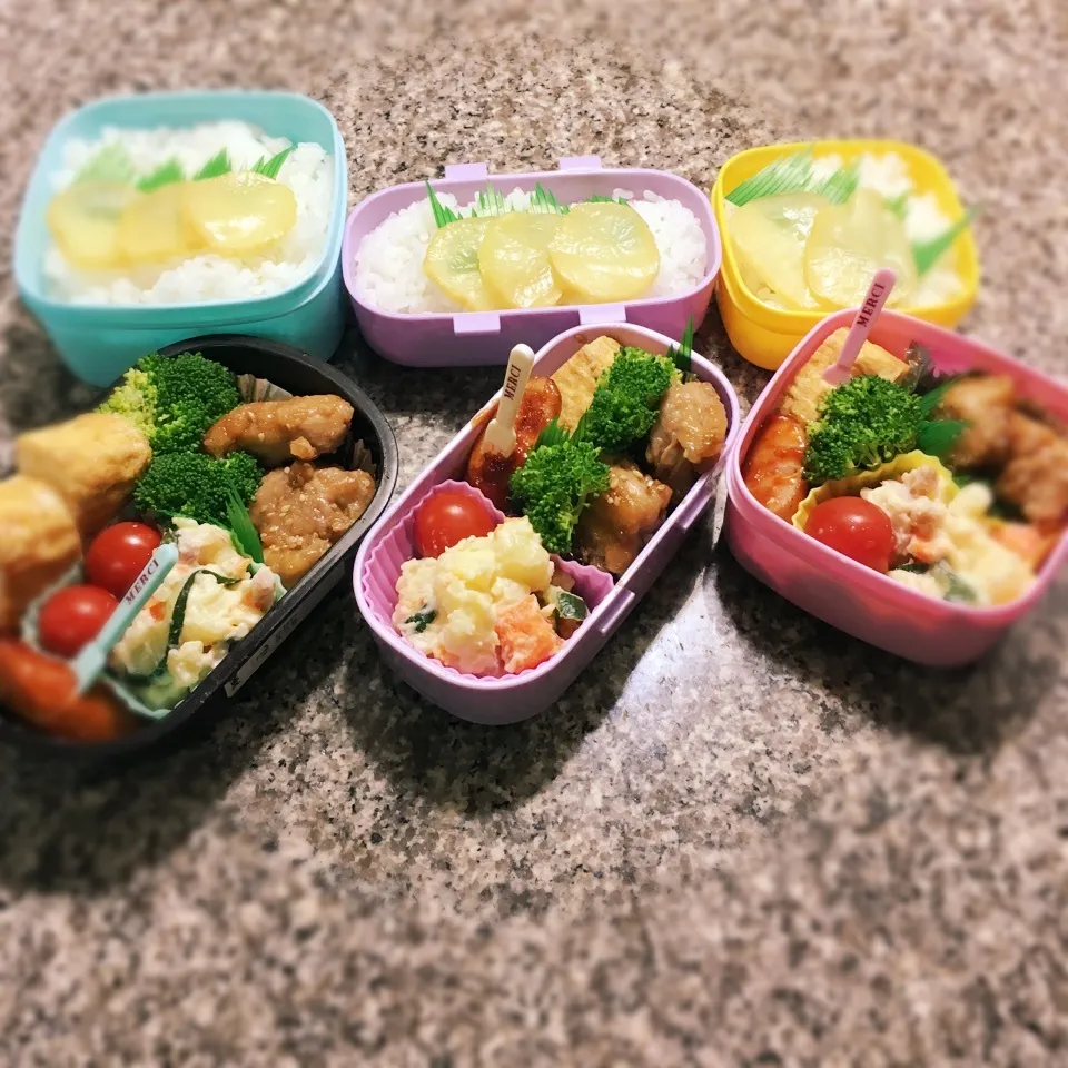 鶏の甘辛弁当|yukさん