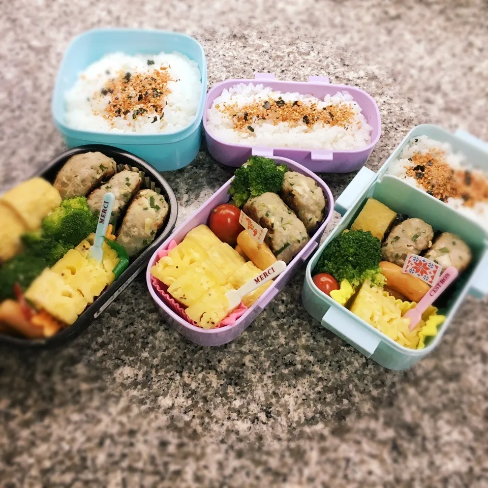 餃子の中身バーグ弁当|yukさん