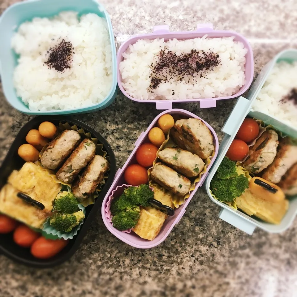 Snapdishの料理写真:餃子の中身だけおやき弁当|yukさん