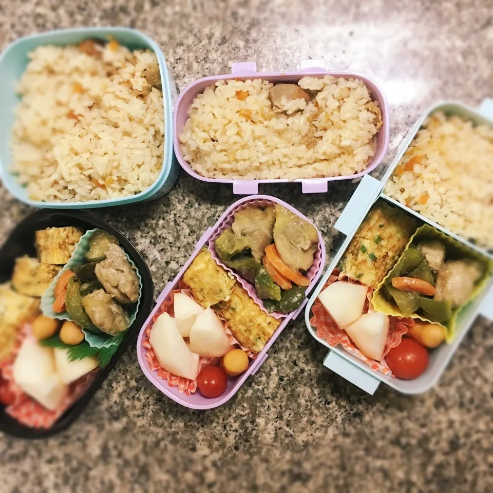 鶏飯弁当|yukさん