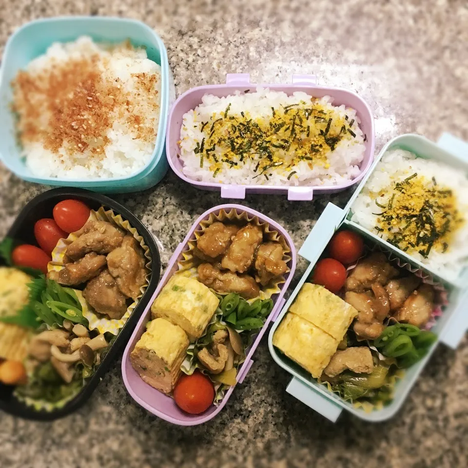 鳥の照り焼き弁当|yukさん