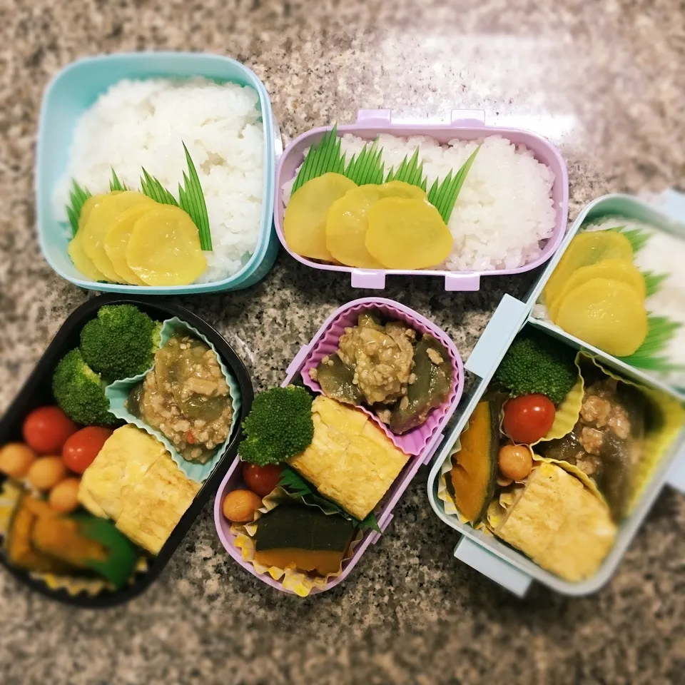 Snapdishの料理写真:麻婆茄子弁当|yukさん