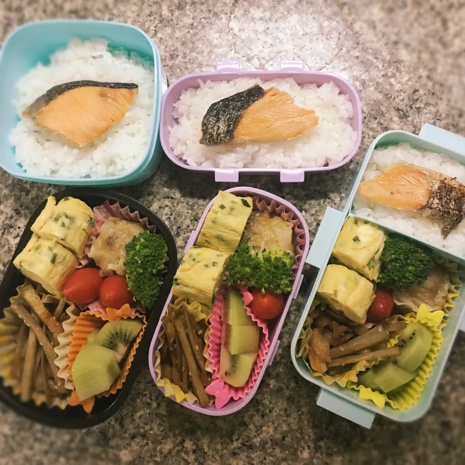 鮭弁当|yukさん