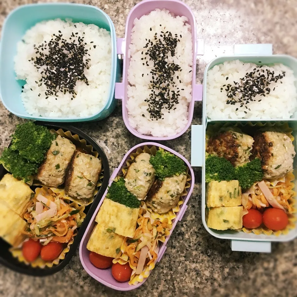 餃子の中身団子弁当|yukさん