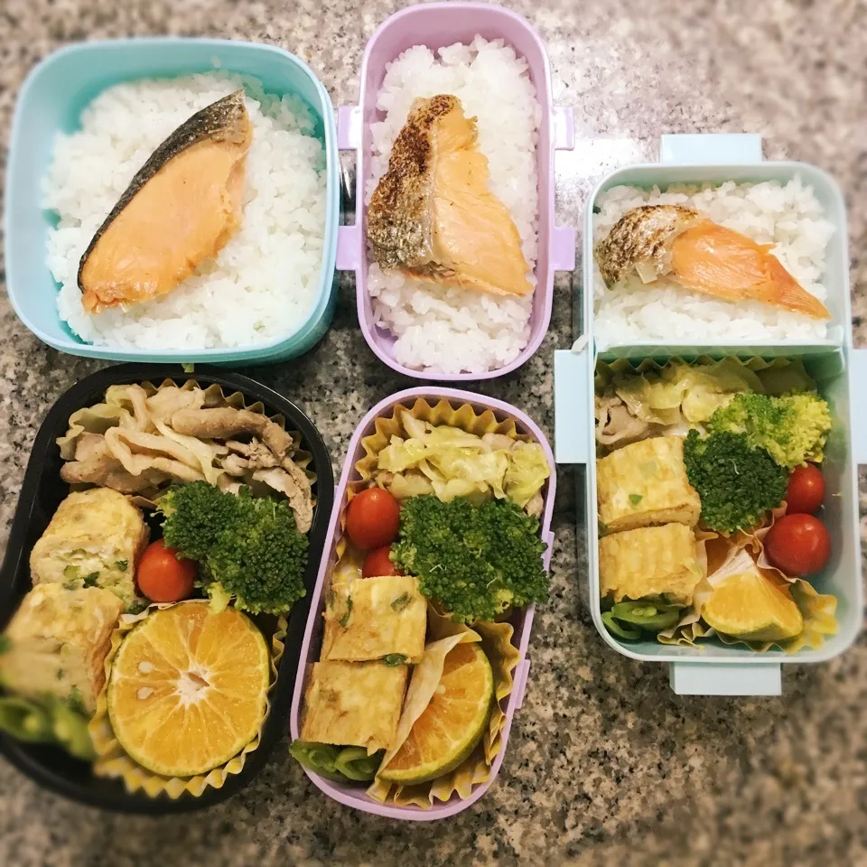 鮭弁当|yukさん