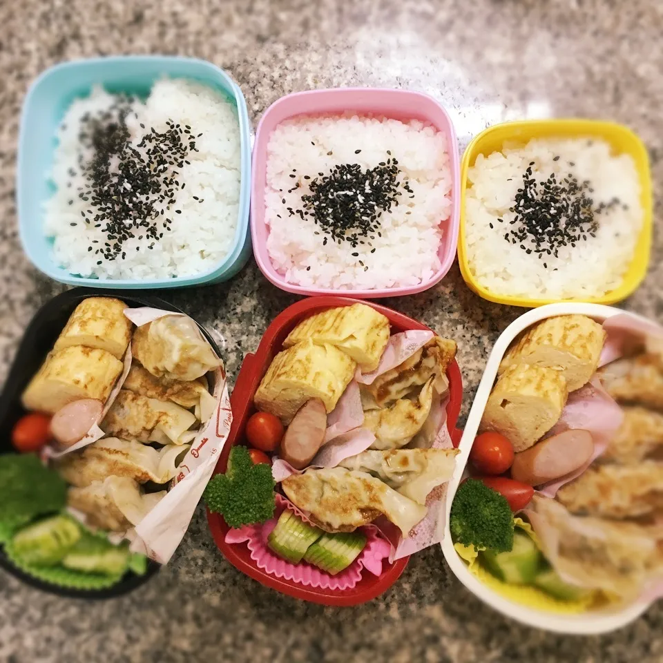 餃子弁当|yukさん