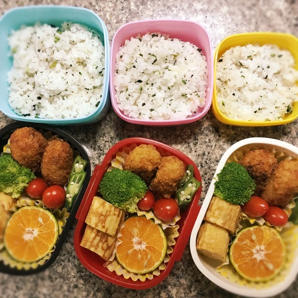 ワカメご飯弁当|yukさん