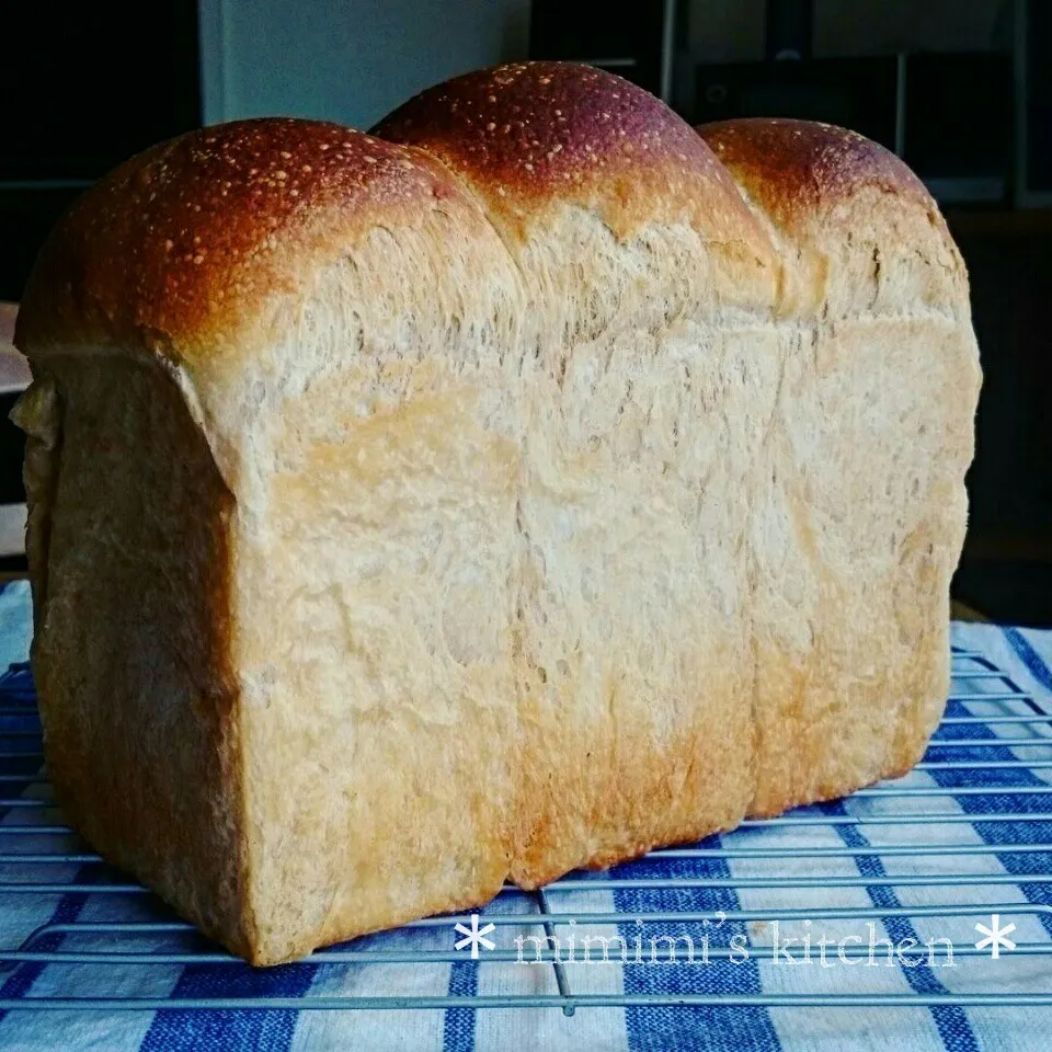 Snapdishの料理写真:高加水のチョコ山食🍞＊チョコレート酵母＊|mikuさん