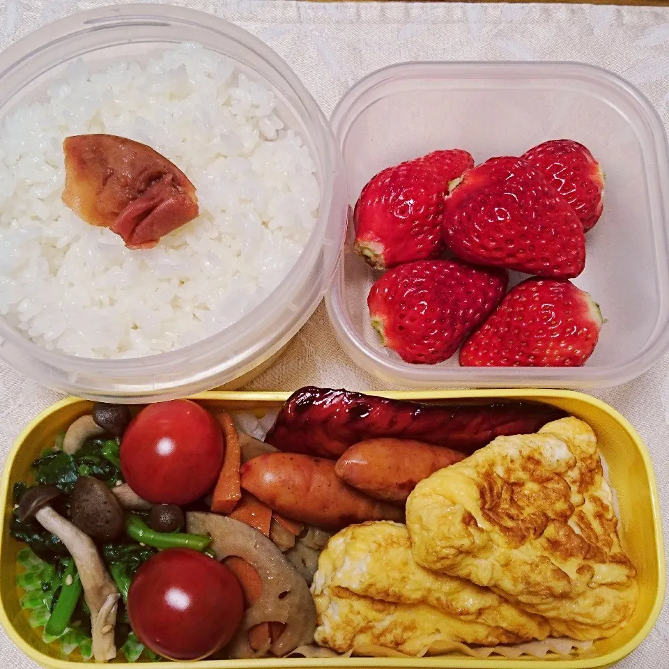 3/5のお弁当|卯月さん