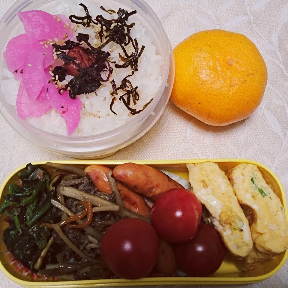 11/24のお弁当|卯月さん