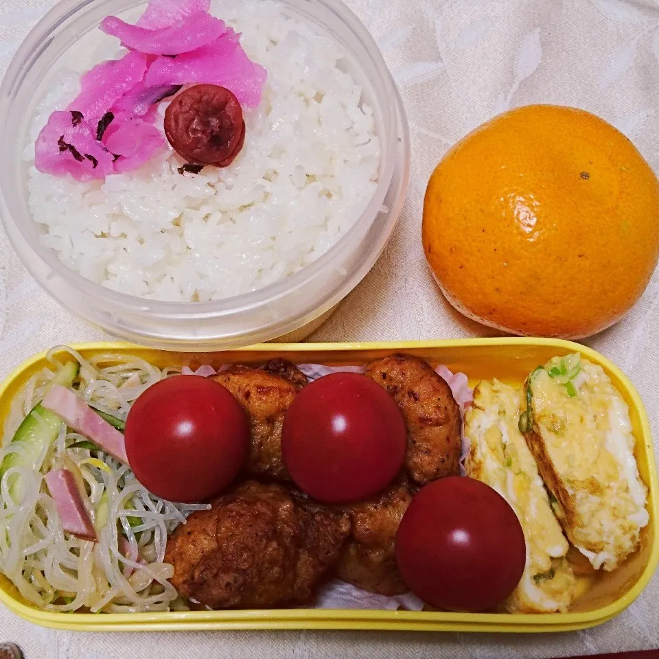 Snapdishの料理写真:11/20のお弁当|卯月さん