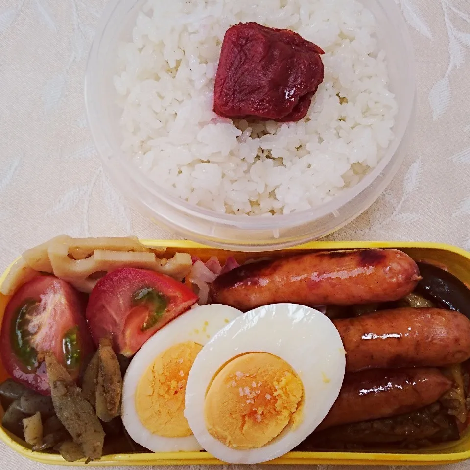 Snapdishの料理写真:6/29のお弁当|卯月さん