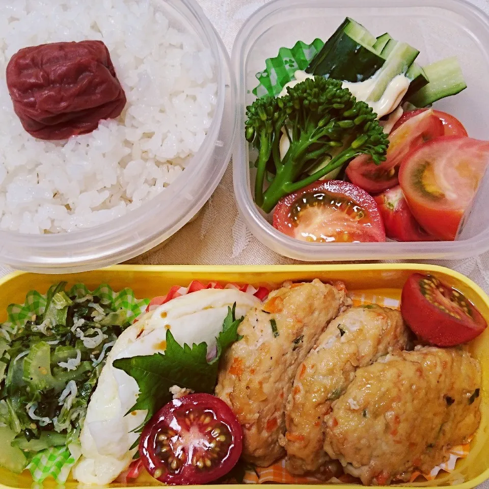 6/21のお弁当|卯月さん