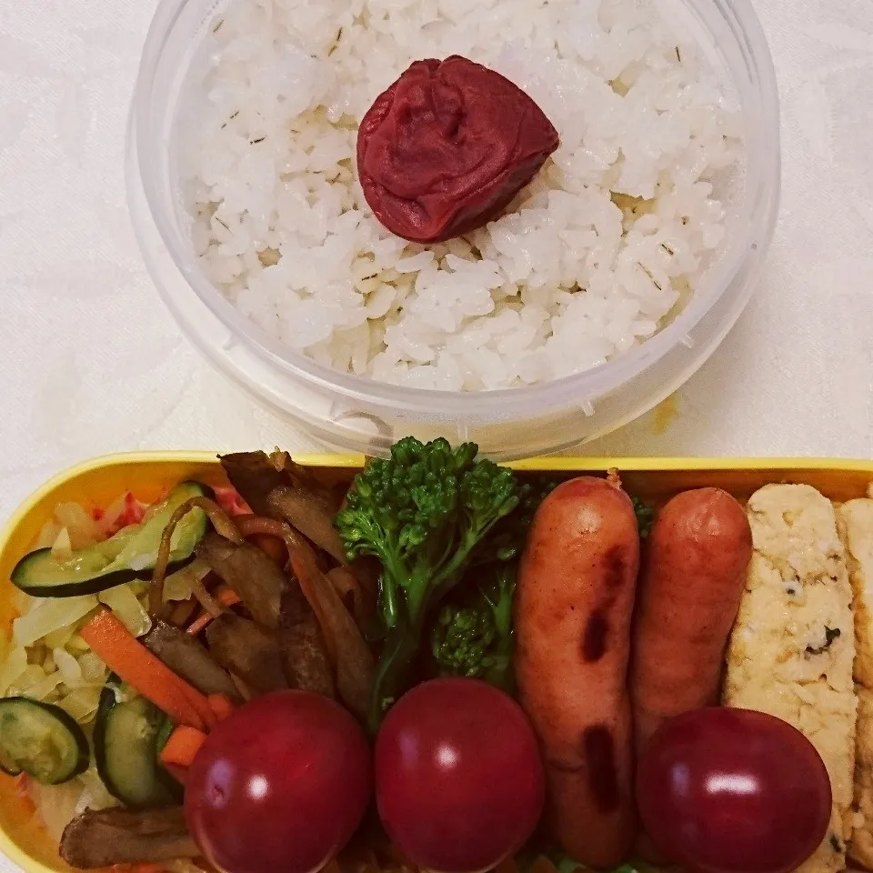 6/19のお弁当|卯月さん