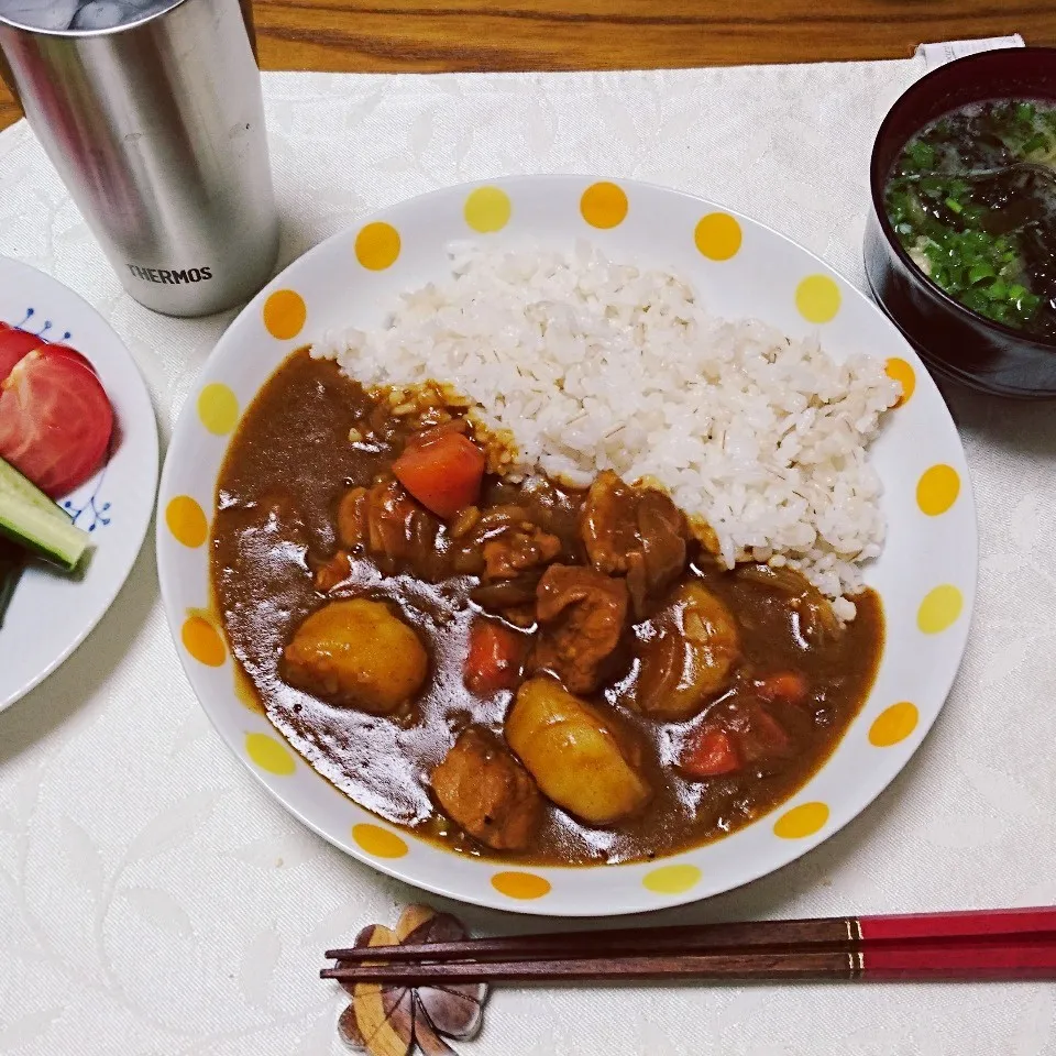 Snapdishの料理写真:6/3の夕食 ポークカレー|卯月さん