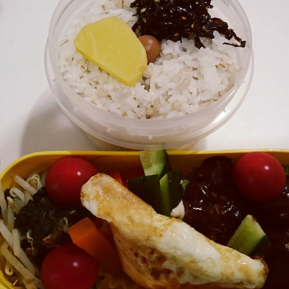 5/9 のお弁当|卯月さん