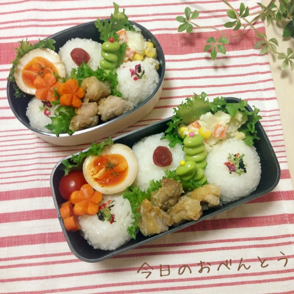 Snapdishの料理写真:中学生と高校生娘のお弁当|かなぷんさん