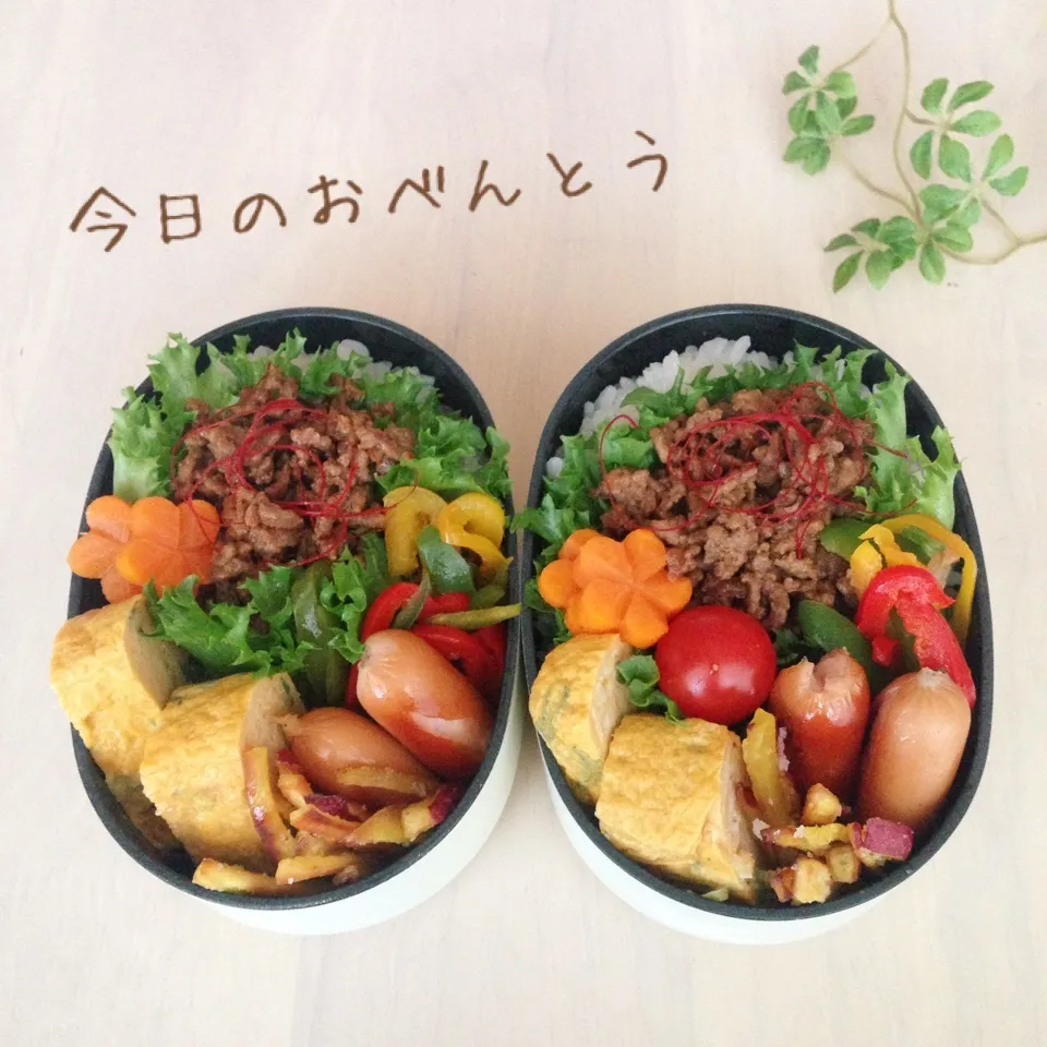 Snapdishの料理写真:中学生と高校生娘のお弁当|かなぷんさん