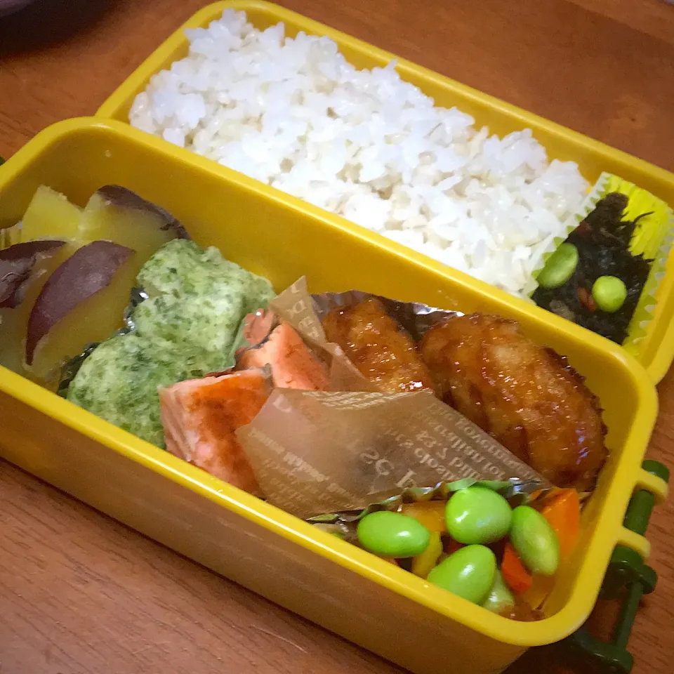 11月23日 むすめ弁当|なお。みさん