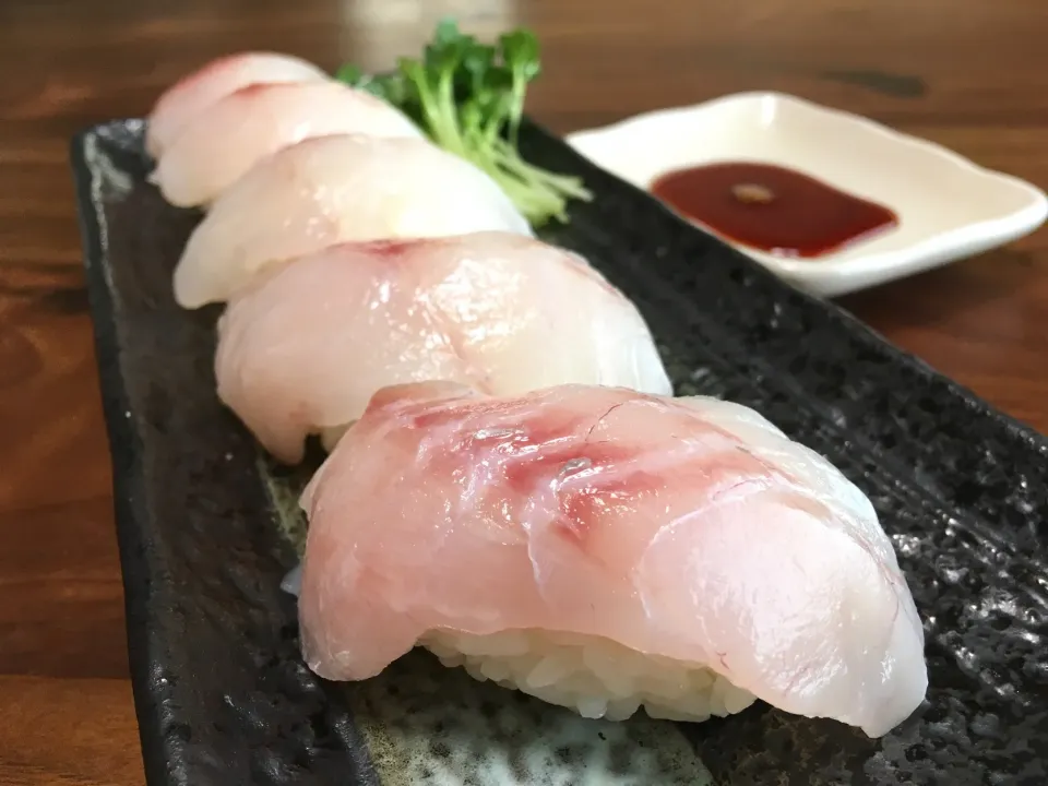 ホウボウ握り寿司🍣🐟    #ぱぴこ家お寿司|ぱぴこ家さん