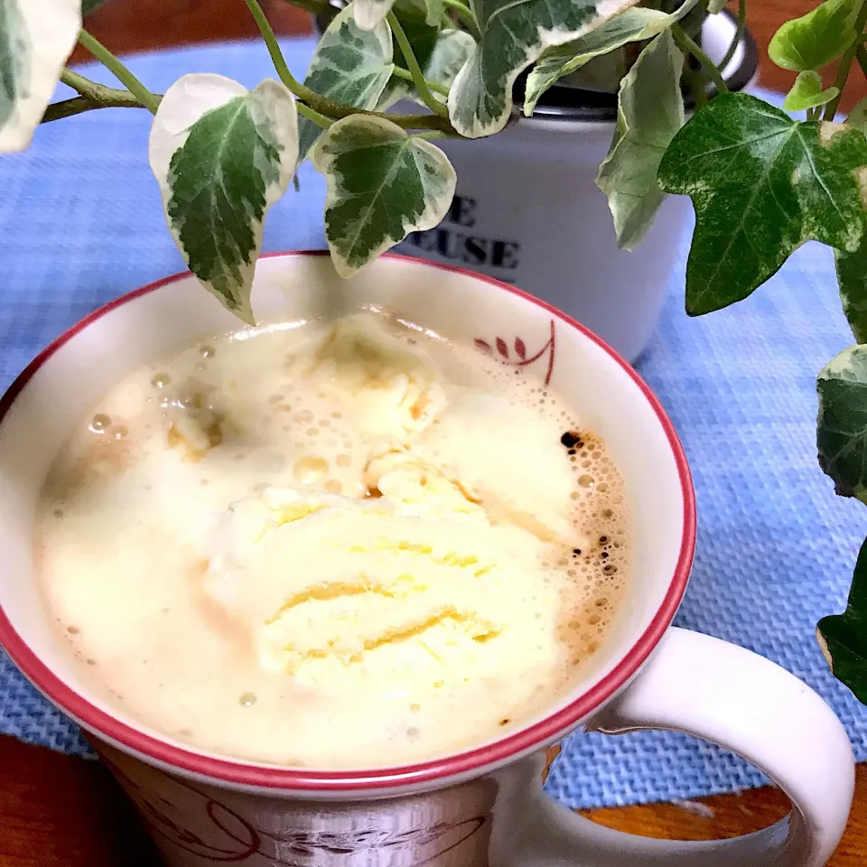 バニラアイス🍨ホットコーヒー|シュトママさん