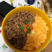 Snapdishの料理写真:#とりそぼろ丼|高田春花さん