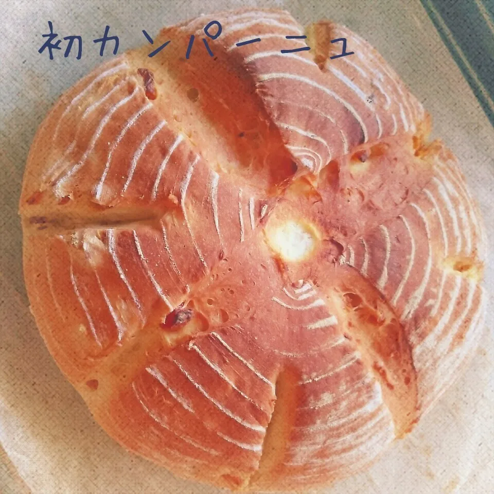 Snapdishの料理写真:はじめてのカンパーニュ|よっしー♪さん