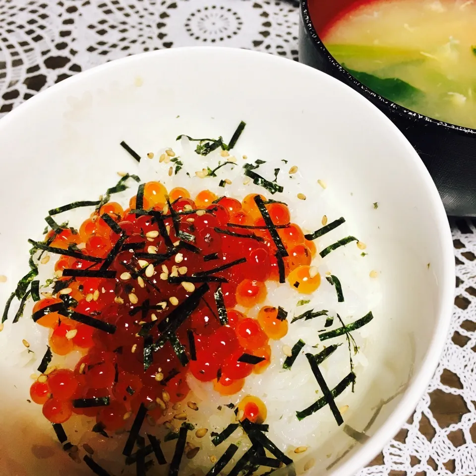 〆のいくら丼〜〜🍚💕✨|ちゃのたろさん