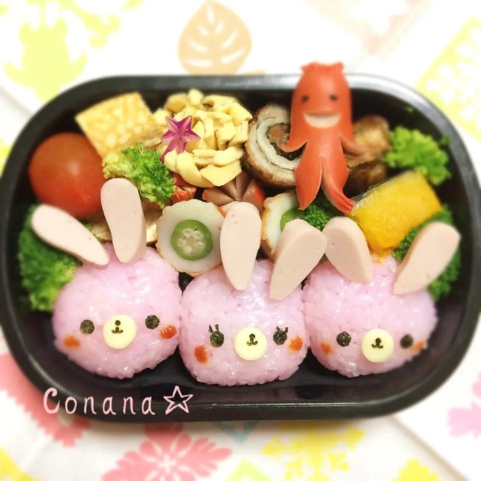 Snapdishの料理写真:ウサギちゃん☆お弁当|conanaさん