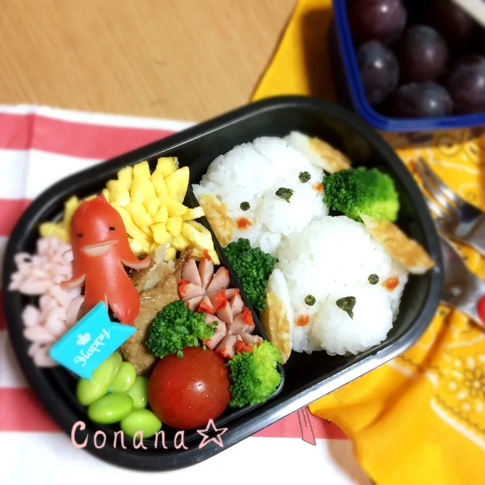 ワンちゃん☆お弁当☆|conanaさん