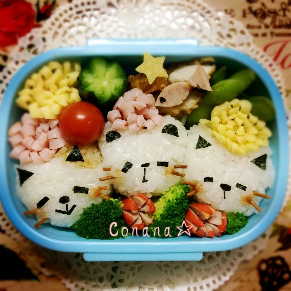 Snapdishの料理写真:3匹のネコ🐱☆お弁当|conanaさん