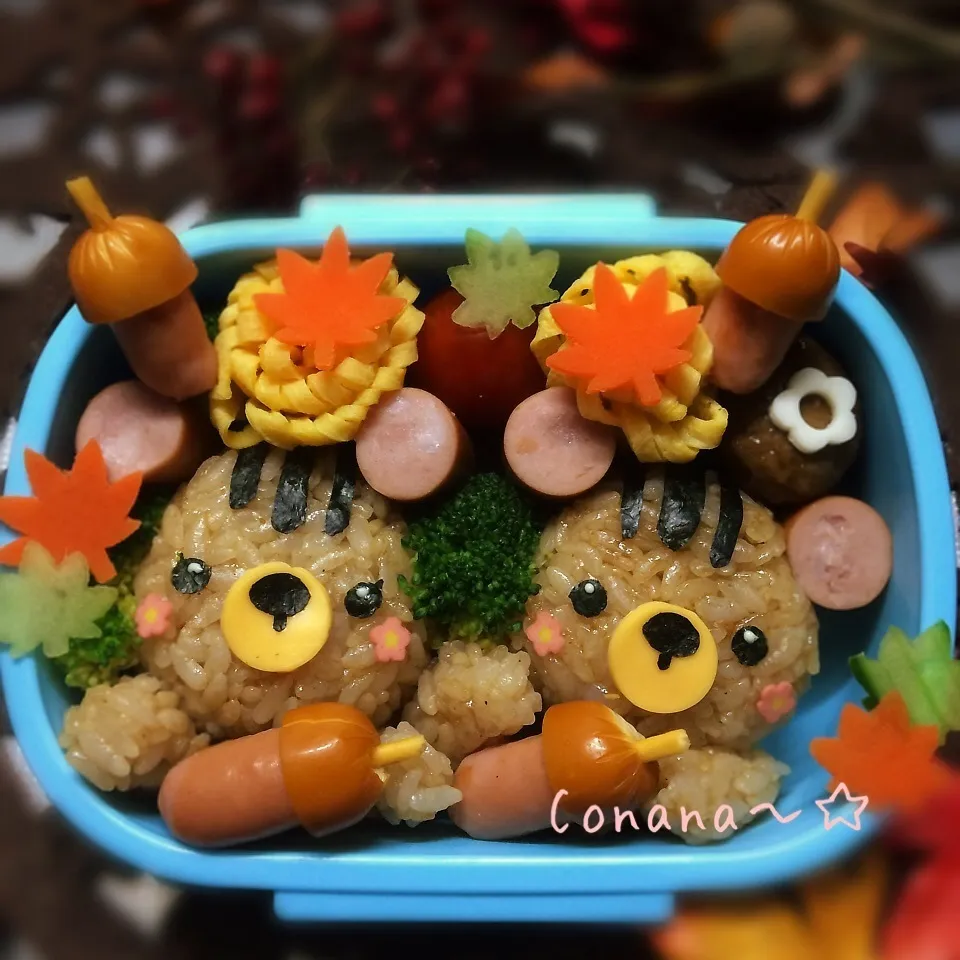 リスさん&どんぐり☆お弁当|conanaさん